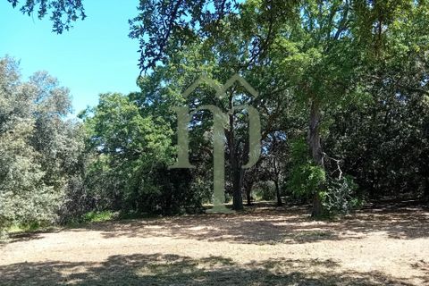 Helårsgrund i Ostuni, Brindisi, Ostuni - € 410.000 | Ref: Terreno Rella14 - foto 10